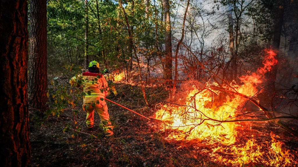 Incendiu de vegetație în Noord-Limburg: 21 hectare distruse, alerta NL rămâne activă